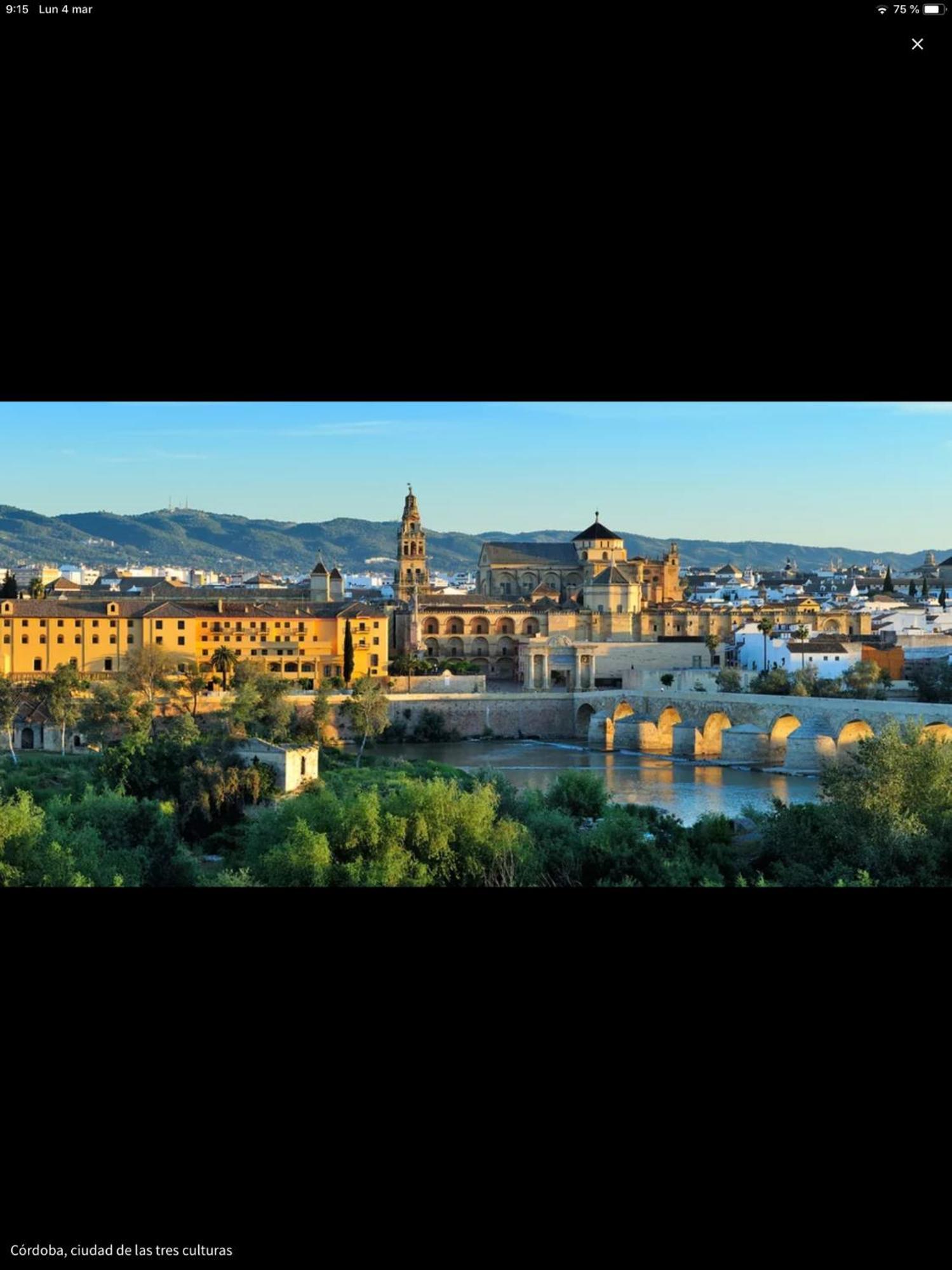 Centro Historico Mezquita Juderia La Preferida Apartment Кордоба Екстериор снимка
